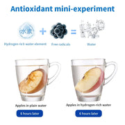 AquoraZen 420ml Hydrogen-Rich Water Bottle